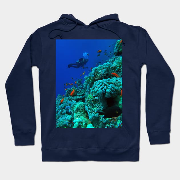 Scuba diver and coral reef Hoodie by likbatonboot